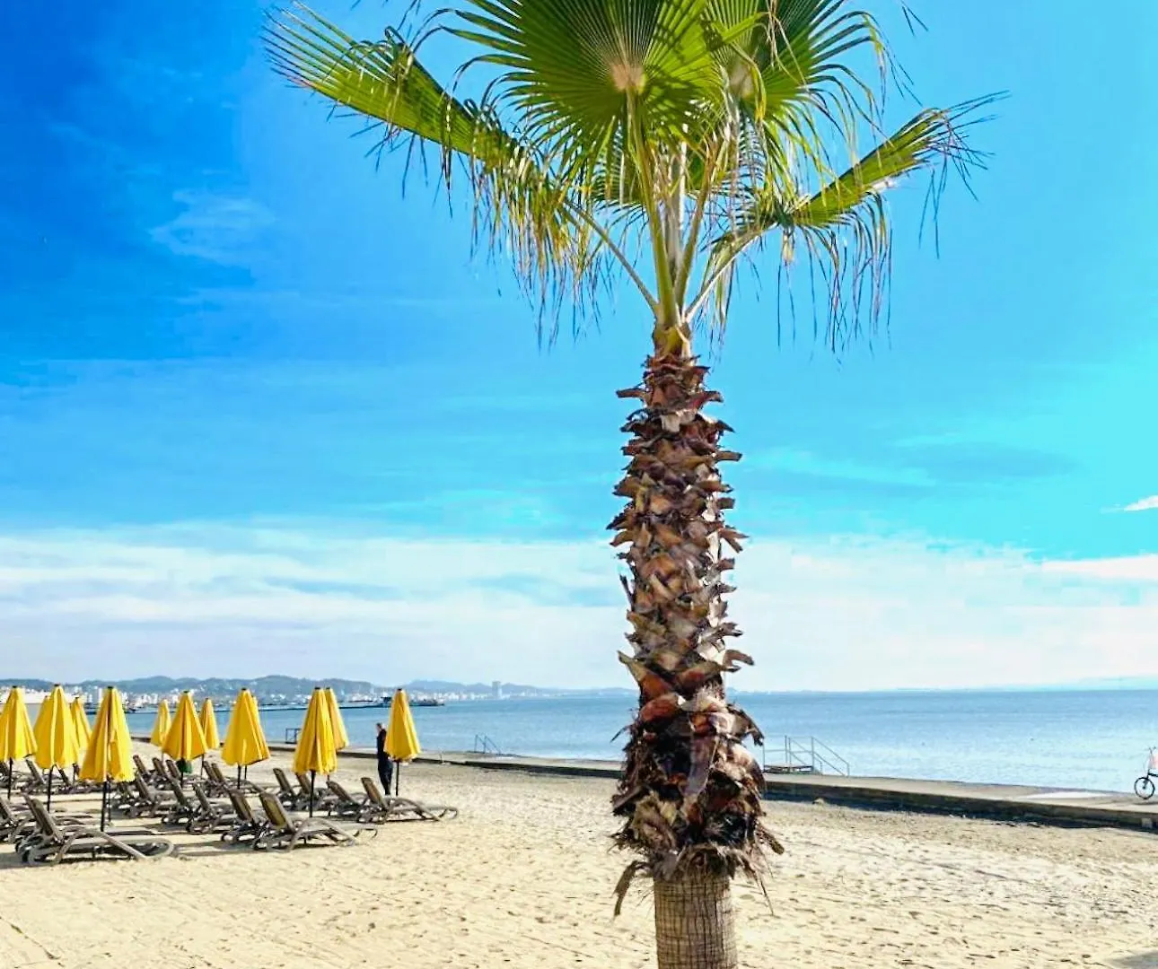 Tate Beachfront Apartment Durres
